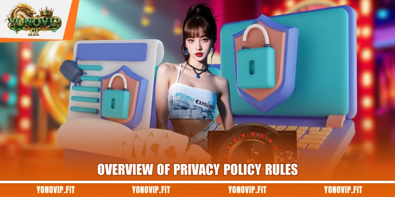 Overview of privacy policy rules