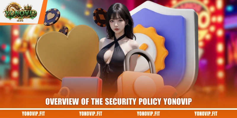 Overview of the security policy Yonovip