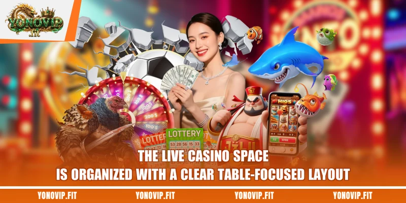 The live casino space is organized with a clear table-focused layout